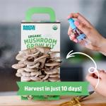 Organic Oyster Mushroom Grow Kit for Easy Harvest