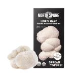 Organic Lion's Mane Mushroom Grow Kit - 4 lbs