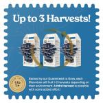 Blue Oyster Mushroom Grow Kit for Home Gardening