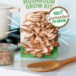 Organic Oyster Mushroom Grow Kit for Easy Harvest