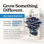 Blue Oyster Mushroom Grow Kit for Home Gardening