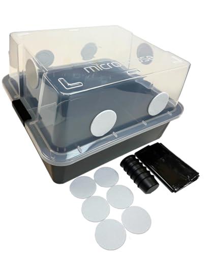 Mushroom Fruiting Kits for Urban Gardens