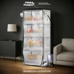 Mushroom Grow Tent for Indoor Gardening
