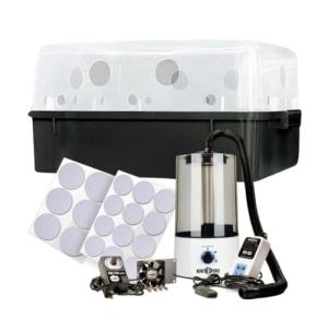North Spore Boomr Bin Mushroom Growing Kit