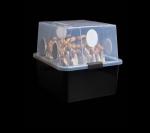 28Q Cube Mushroom Fruiting Chambers with Filters (2 Pack)