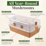 Gro Magik XL Mushroom Monotub Grow Kit
