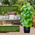 LnzyGarden Indoor Hydroponic Vegetable Growing System