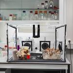 Large Still Air Box for Mushroom Growing