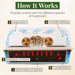 Gro Magik XL Mushroom Monotub Grow Kit