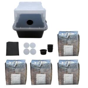 Mushroom Grow Kit: 4 All-in-One Bags