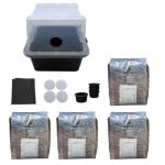 Mushroom Grow Kit: 4 All-in-One Bags
