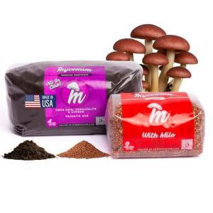 Mushroom Grow Kit with Mycelium Monotub Bundle