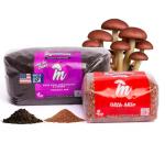 Mushroom Grow Kit with Mycelium Monotub Bundle
