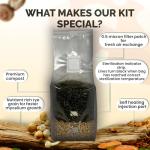 MycoHaus All-in-One Mushroom Growing Kit