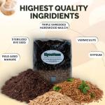 MycoHaus All-in-One Mushroom Growing Kit