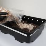 Mushroom Grow Kit with Mycelium Monotub Bundle