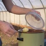 Organic Shiitake Mushroom Log Growing Kit