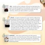 MycoHaus All-in-One Mushroom Growing Kit