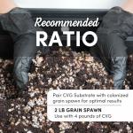 Mushroom Grow Kit with Mycelium Monotub Bundle