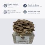 Brown Oyster Mushroom Grow Kit for Beginners