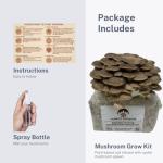 Brown Oyster Mushroom Grow Kit for Beginners