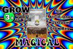 5lb All-in-One Mushroom Grow Bag Kit