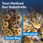 Premium Mushroom Substrate - 5 lbs Expert Blend