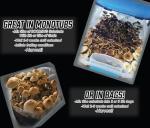 Ready-to-Use Mushroom Substrate Blend for Urban Gardens