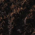 5 lb Mushroom Substrate for Maximum Yield