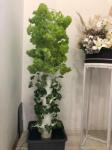 TIRUSS 15-Layer Vertical Hydroponic Grow Tower