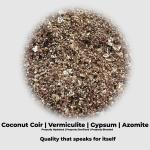 Ready-to-Use Mushroom Substrate Blend for Urban Gardens