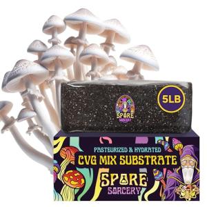 Magic Mushroom Substrate Mix for Urban Gardens