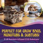 Magic Mushroom Substrate Mix for Urban Gardens