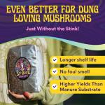 Magic Mushroom Substrate Mix for Urban Gardens