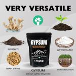 Premium Gypsum Powder for Mushroom Gardening