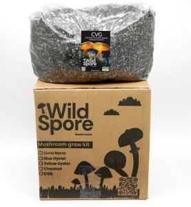 Organic Mushroom Grow Bag Kit for Urban Gardens