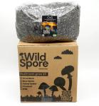 Organic Mushroom Grow Bag Kit for Urban Gardens