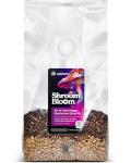NuBlume ShroomBloom Mushroom Grow Kit for Beginners