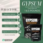 Premium Gypsum Powder for Mushroom Gardening