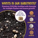 Magic Mushroom Substrate Mix for Urban Gardens