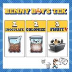 Bella Bora 6-Pack Mushroom Grow Bags (5 lbs)