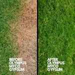 Pure Gypsum Powder for Soil and Gardens, 1 lb