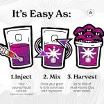 NuBlume ShroomBloom Mushroom Grow Kit for Beginners