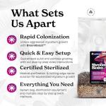 NuBlume ShroomBloom Mushroom Grow Kit for Beginners