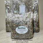 Organic Mushroom Growing Compost | 10 lb Pack