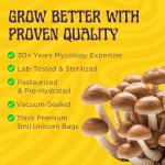 Magic Mushroom Substrate Mix for Urban Gardens