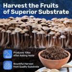 Surfin' Spores Mushroom Substrate Mix for 10 lbs