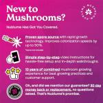 NuBlume ShroomBloom Mushroom Grow Kit for Beginners