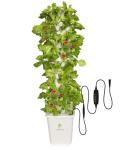 DPROOTS Hydroponic Tower Growing System，45 Pods Vertical Garden，Suitable for Indoor and Greenhouse, Grow Herbs and Vegetables，Houseplant Farming with Water Circulation and Automatic Timer