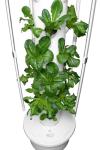 ALTO GARDEN GX Hydroponic Tower | Vertical Planter Tower | Hydroponics Growing System Kit | Food Grade with 24 Net Pots (with LED Grow Lights)
